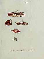  no thumbnail available