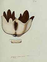  no thumbnail available