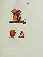  no thumbnail available