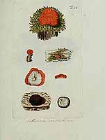  no thumbnail available