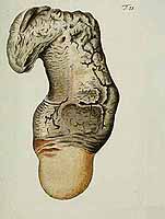  no thumbnail available