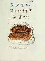  no thumbnail available