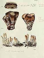  no thumbnail available