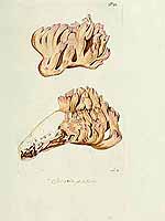  no thumbnail available