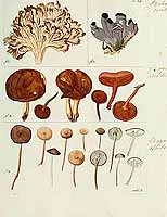  no thumbnail available