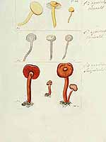  no thumbnail available