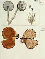  no thumbnail available