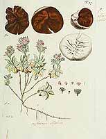  no thumbnail available