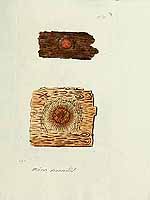  no thumbnail available