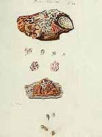  no thumbnail available