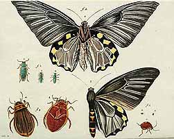  no thumbnail available