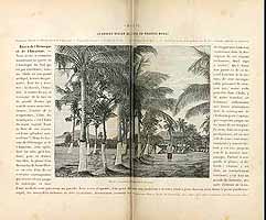  no thumbnail available