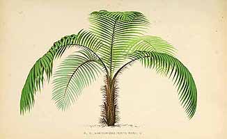  no thumbnail available