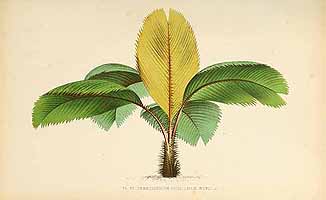  no thumbnail available