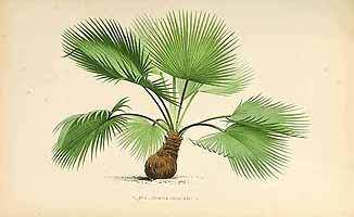  no thumbnail available