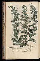  no thumbnail available