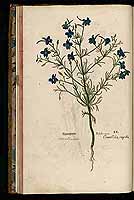  no thumbnail available