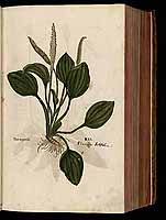  no thumbnail available