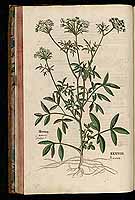  no thumbnail available