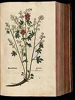  no thumbnail available