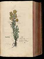  no thumbnail available