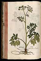  no thumbnail available