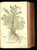  no thumbnail available