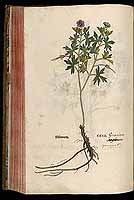  no thumbnail available