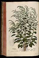  no thumbnail available