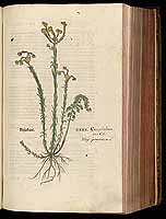  no thumbnail available