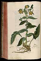  no thumbnail available