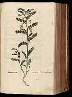  no thumbnail available