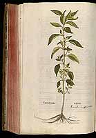  no thumbnail available