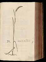  no thumbnail available