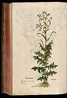  no thumbnail available