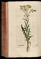  no thumbnail available