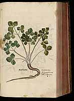  no thumbnail available