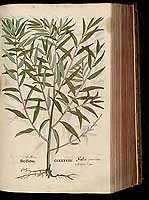  no thumbnail available