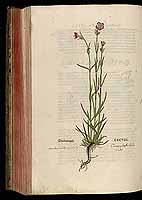  no thumbnail available