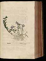  no thumbnail available