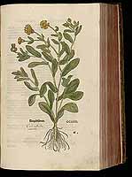  no thumbnail available