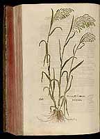  no thumbnail available