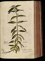  no thumbnail available