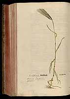  no thumbnail available