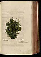  no thumbnail available