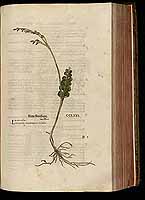  no thumbnail available