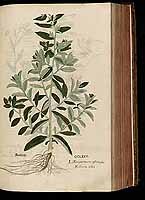  no thumbnail available