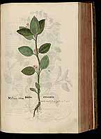  no thumbnail available