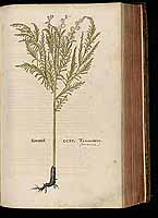  no thumbnail available