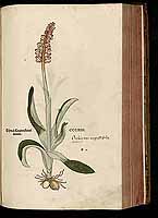  no thumbnail available